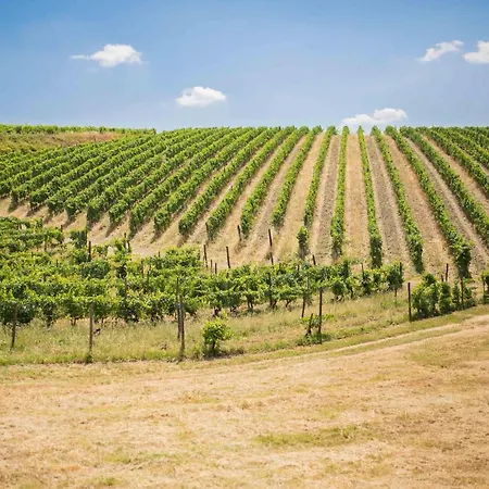 Terre Di Melazzano - Le Di Patrizia * Greve in Chianti