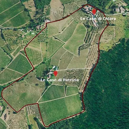 Terre Di Melazzano - Le Di Patrizia *