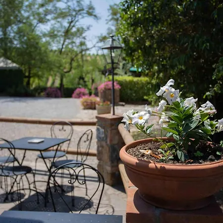 Terre Di Melazzano - Le Di Patrizia