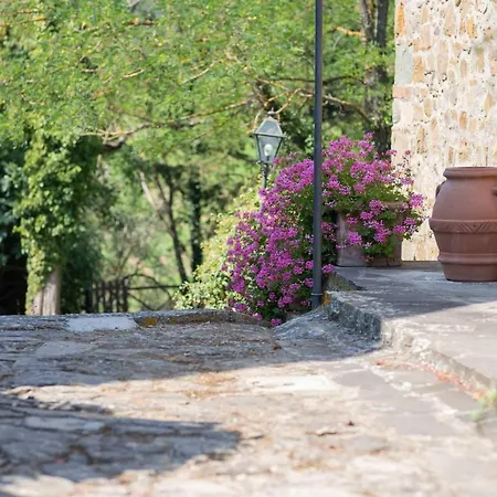 Terre Di Melazzano - Le Di Patrizia